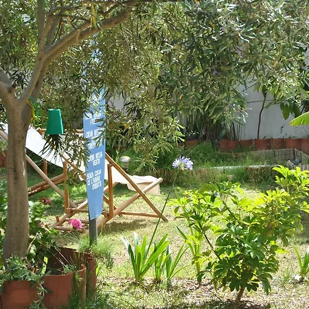 La Jacaranda * SantʼAntìoco