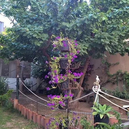 La Jacaranda *
