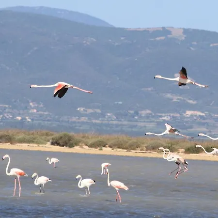 Affittacamere La Jacaranda *