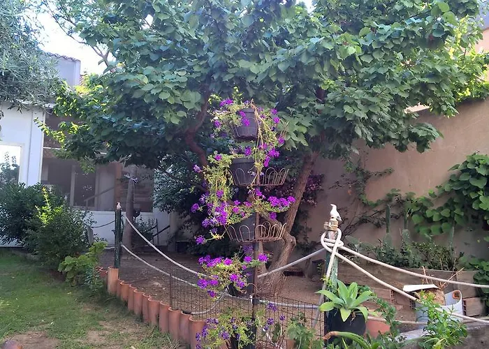 La Jacaranda *