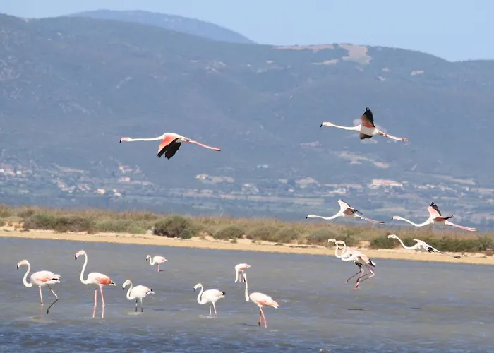 Pensionat La Jacaranda *